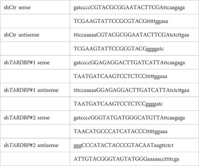 Loss of TDP-43 causes ectopic endothelial sprouting and migration defects through increased fibronectin, vcam 1 and integrin α4/β1